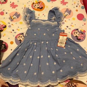 Cat and jack brand dress originally sold for $20 never work brand new with tag